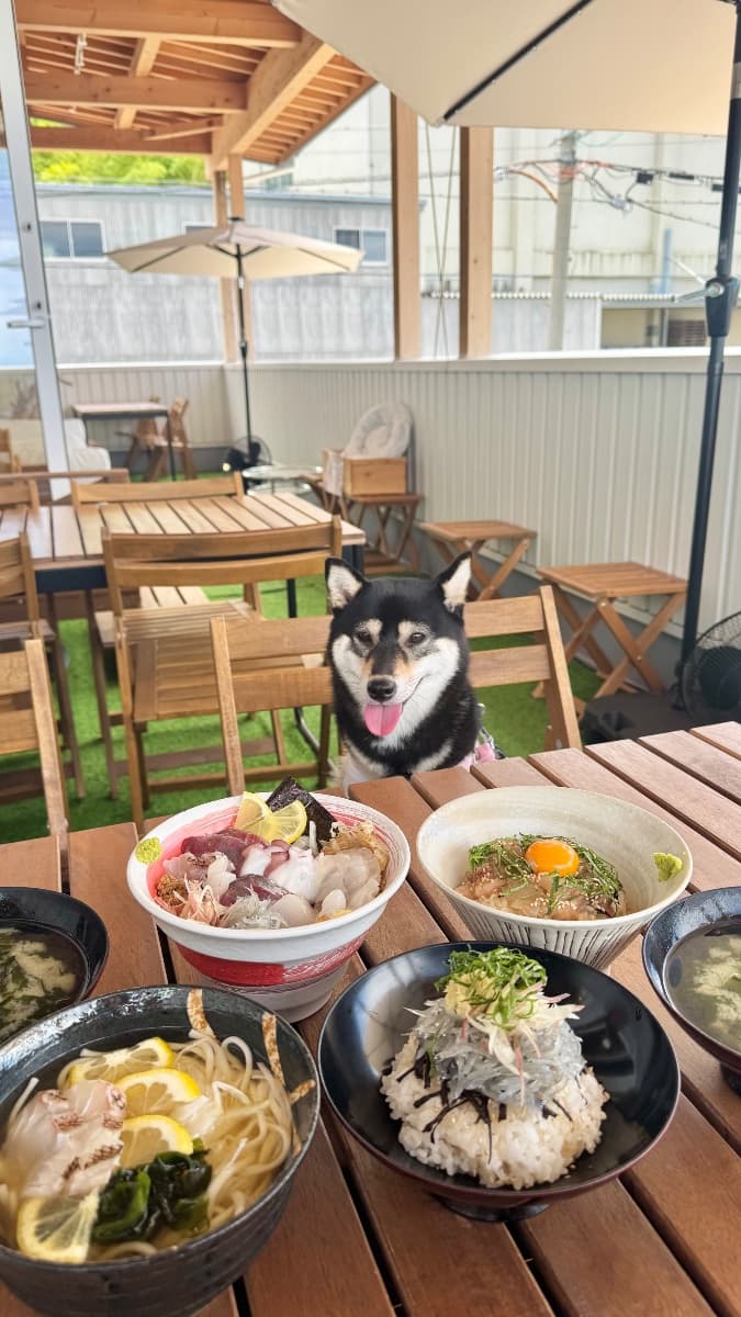 口コミ写真1